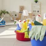 Get in for the Season - Unique Fire Island Home Cleaning Co. - $650K Gross 2025 - 300+ Clients with 200 contracted